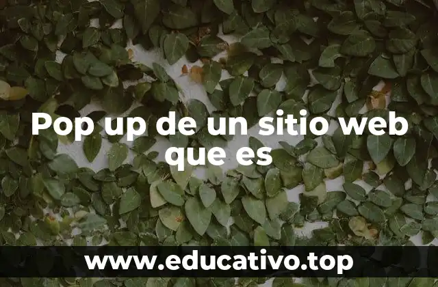 Pop up de un sitio web que es