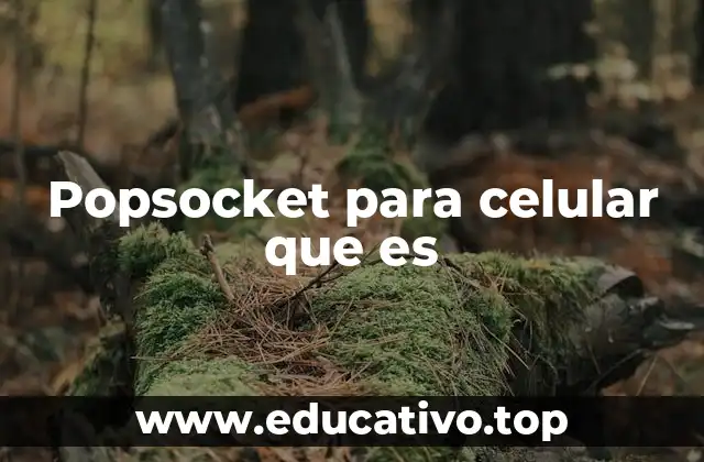Popsocket para celular que es