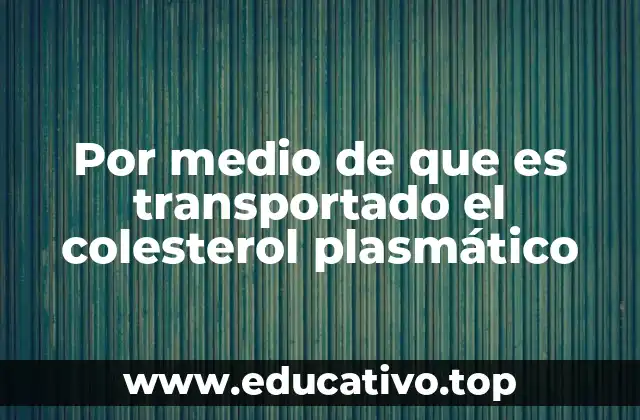 Por medio de que es transportado el colesterol plasmático