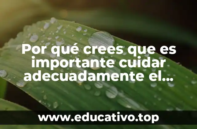 Por qué crees que es importante cuidar adecuadamente el microscopio