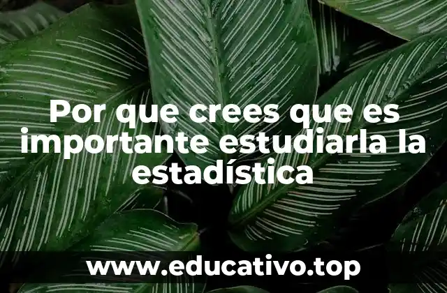 Por que crees que es importante estudiarla la estadística
