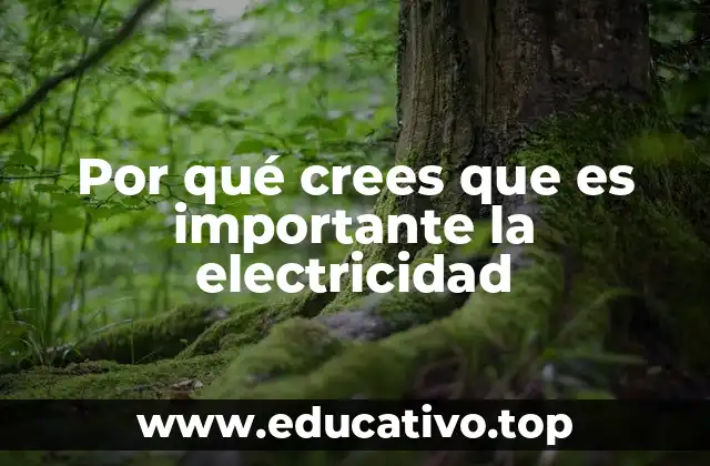 Por qué crees que es importante la electricidad