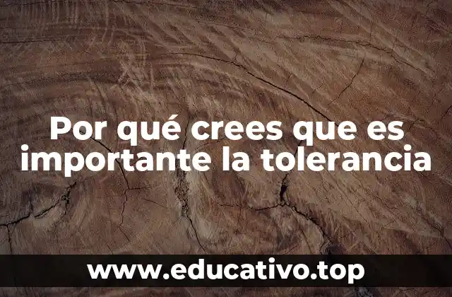 Por qué crees que es importante la tolerancia