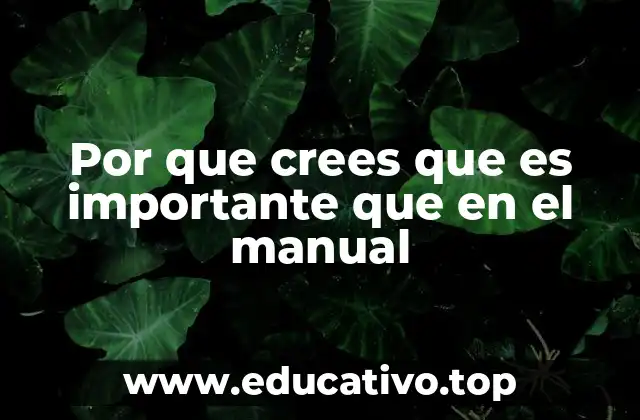 Por que crees que es importante que en el manual