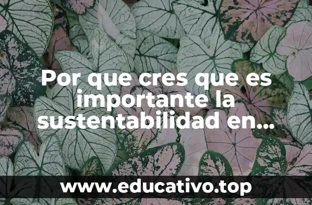 Por que cres que es importante la sustentabilidad en mexico