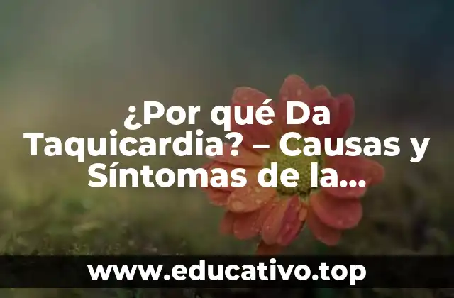 ¿Por qué Da Taquicardia? – Causas y Síntomas de la Taquicardia