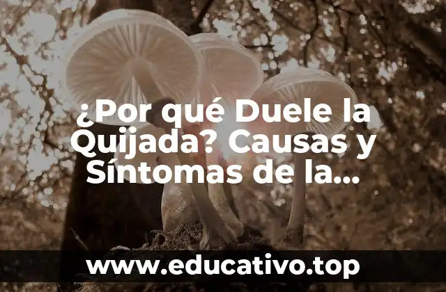 ¿Por qué Duele la Quijada? Causas y Síntomas de la Disfunción de la Articulación Temporomandibular
