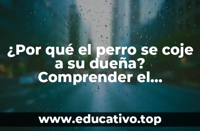 ¿Por qué el perro se coje a su dueña? Comprender el comportamiento canino