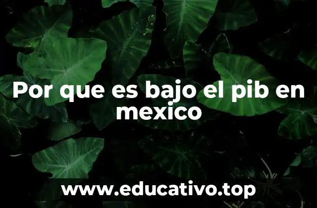 Por que es bajo el pib en mexico