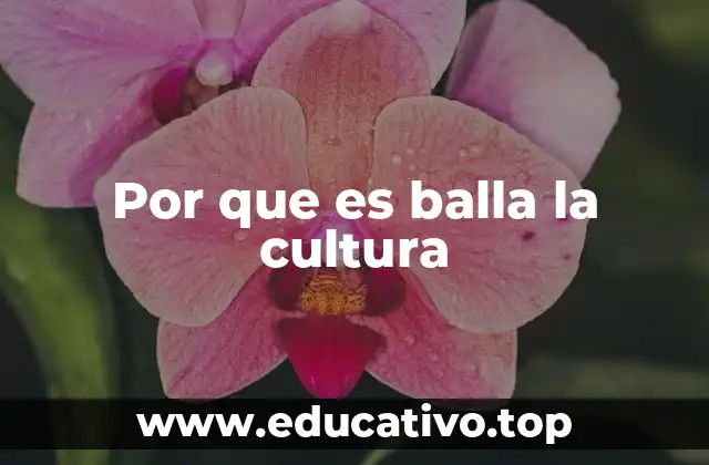 Por que es balla la cultura