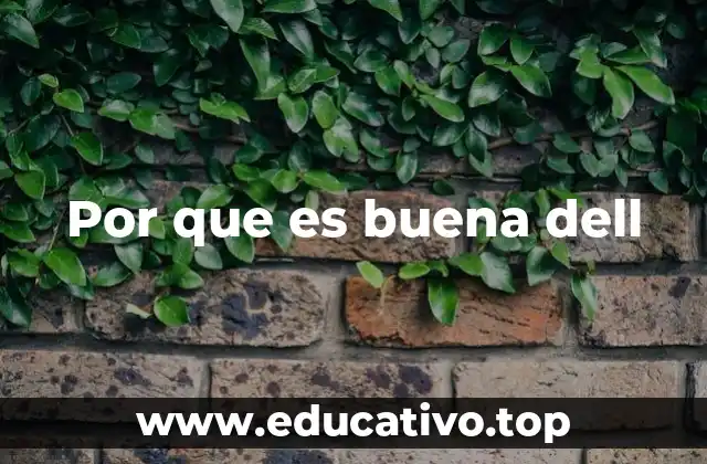 Por que es buena dell