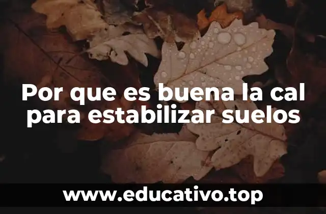 Por que es buena la cal para estabilizar suelos