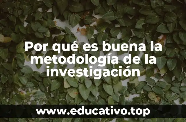 Por qué es buena la metodología de la investigación