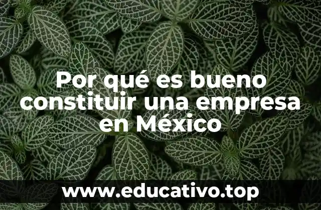 Por qué es bueno constituir una empresa en México