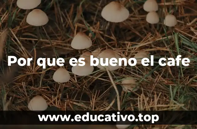 Por que es bueno el cafe