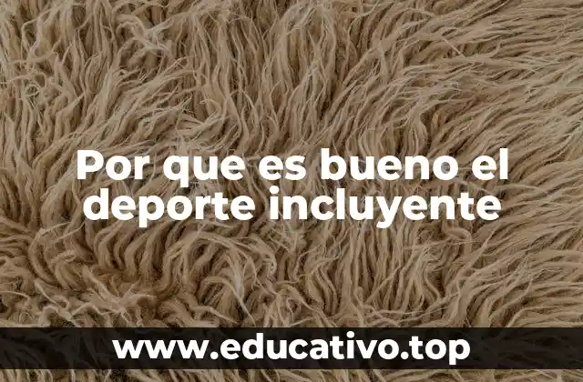 Por que es bueno el deporte incluyente