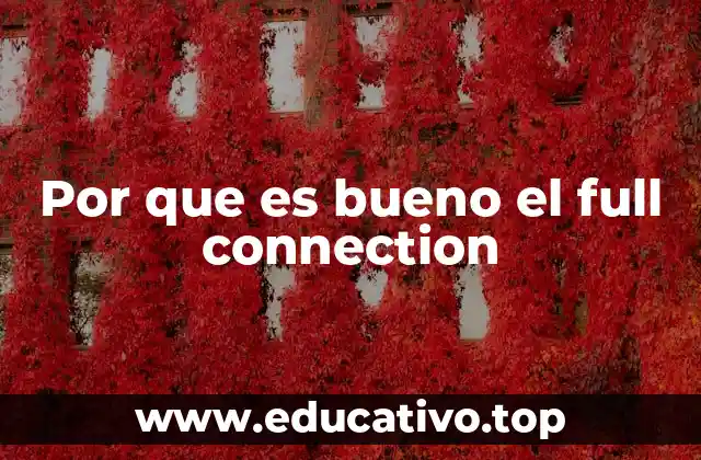 Por que es bueno el full connection