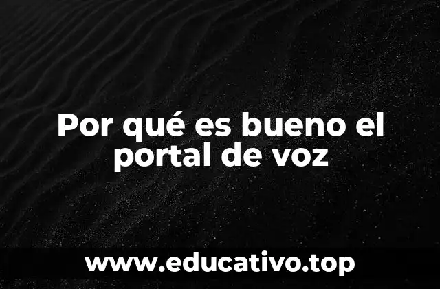 Por qué es bueno el portal de voz