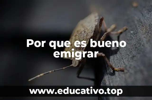 Por que es bueno emigrar