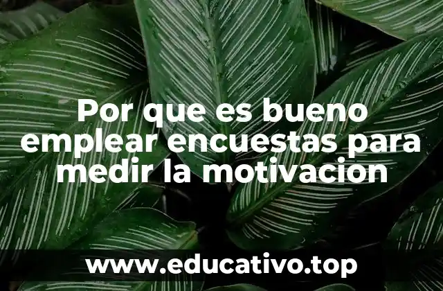 Por que es bueno emplear encuestas para medir la motivacion