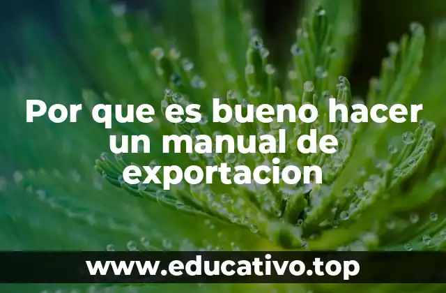 Cómo un manual de exportación puede transformar la estrategia internacional de una empresa