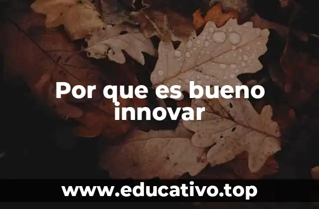 Por que es bueno innovar