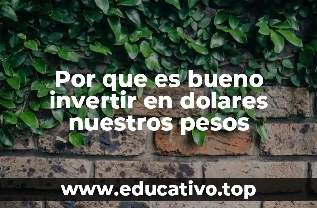 Por que es bueno invertir en dolares nuestros pesos