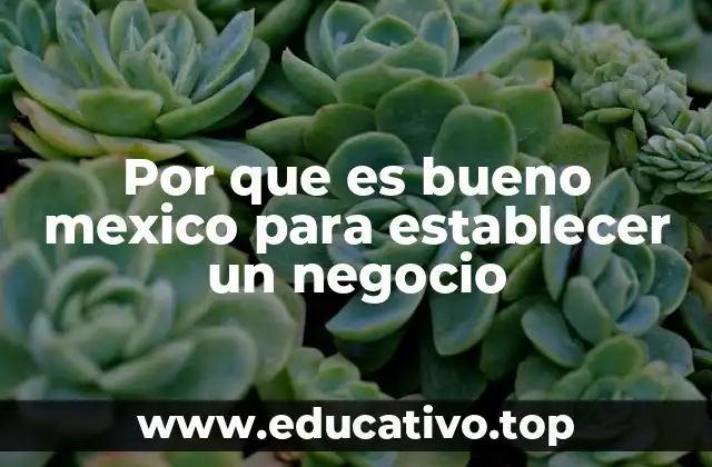 Por que es bueno mexico para establecer un negocio