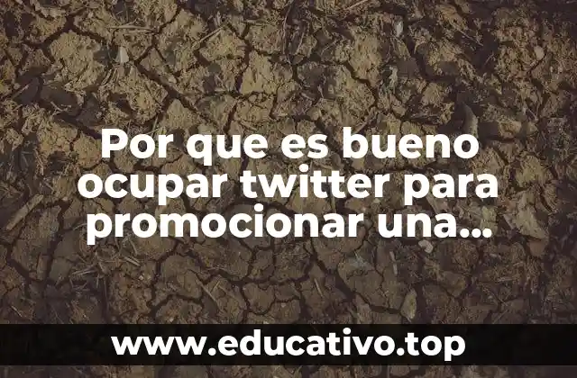 Por que es bueno ocupar twitter para promocionar una empresa