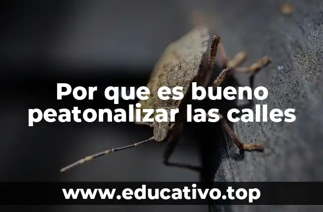 Por que es bueno peatonalizar las calles