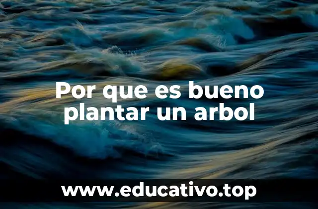 Por que es bueno plantar un arbol