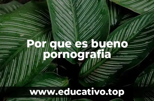 Por que es bueno pornografia