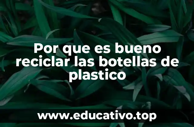 Por que es bueno reciclar las botellas de plastico