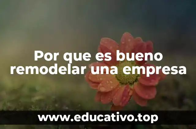 Por que es bueno remodelar una empresa