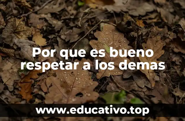 Por que es bueno respetar a los demas