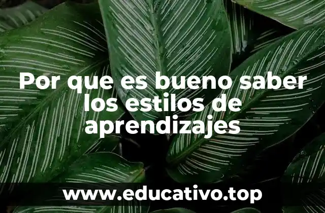 Por que es bueno saber los estilos de aprendizajes