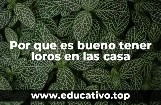 Por que es bueno tener loros en las casa