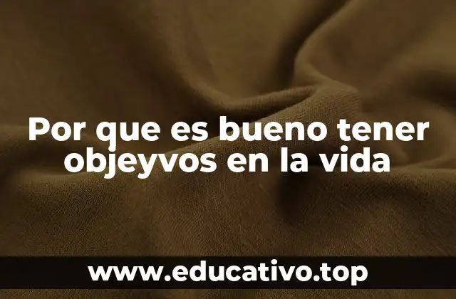 Por que es bueno tener objeyvos en la vida