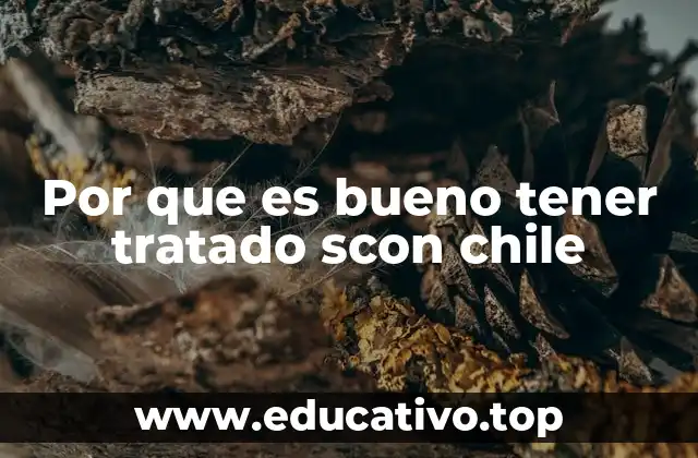 Por que es bueno tener tratado scon chile