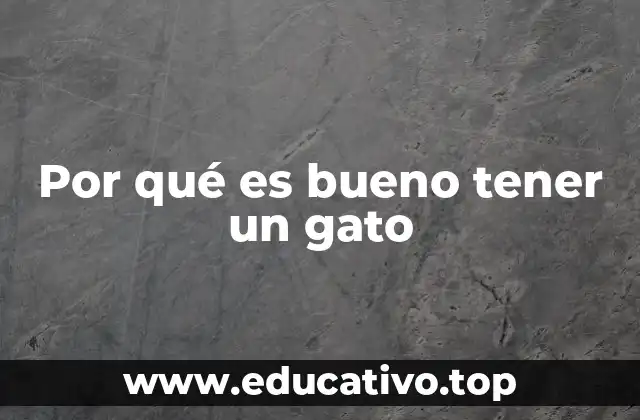 Por qué es bueno tener un gato