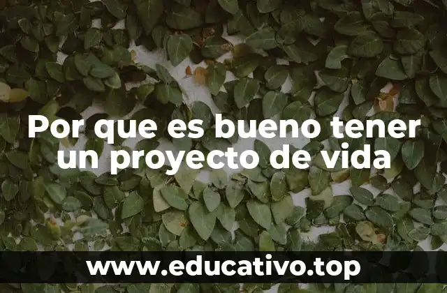 Por que es bueno tener un proyecto de vida