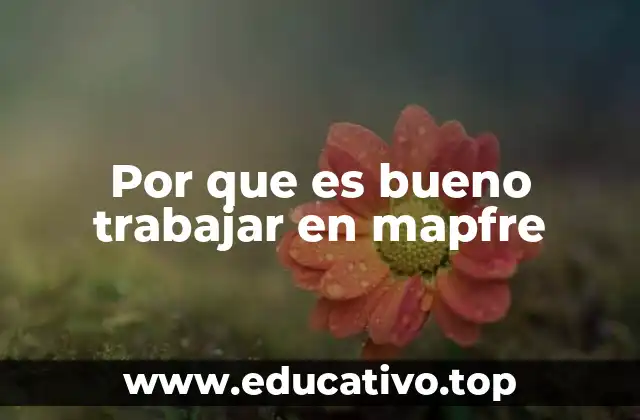 Por que es bueno trabajar en mapfre
