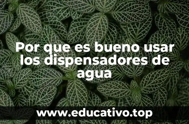 Por que es bueno usar los dispensadores de agua