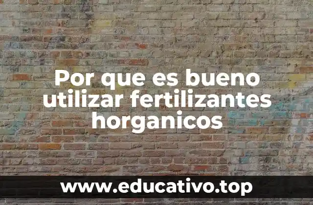 Por que es bueno utilizar fertilizantes horganicos