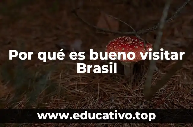 Por qué es bueno visitar Brasil