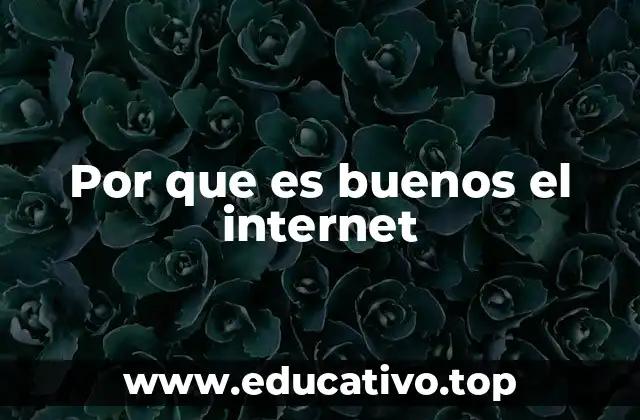 Por que es buenos el internet