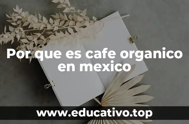Por que es cafe organico en mexico