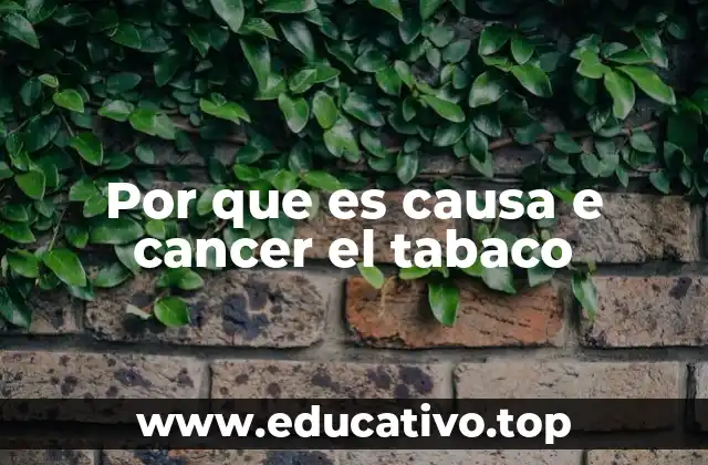 Por que es causa e cancer el tabaco