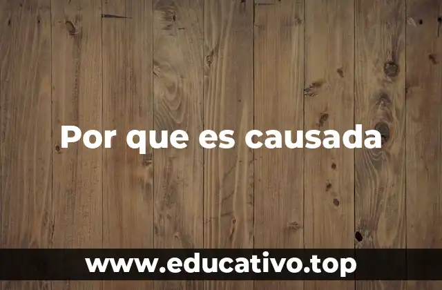 Factores detrás de una situación