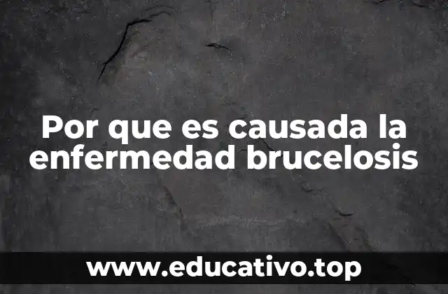 Por que es causada la enfermedad brucelosis
